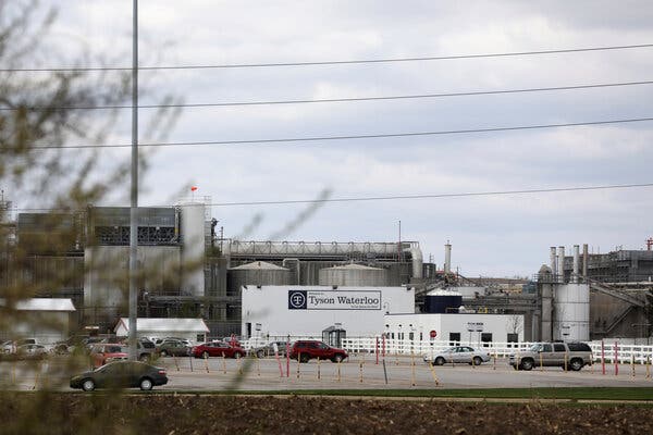 About 1,000 workers at a Tyson pork plant in Waterloo, Iowa, tested positive for the virus.